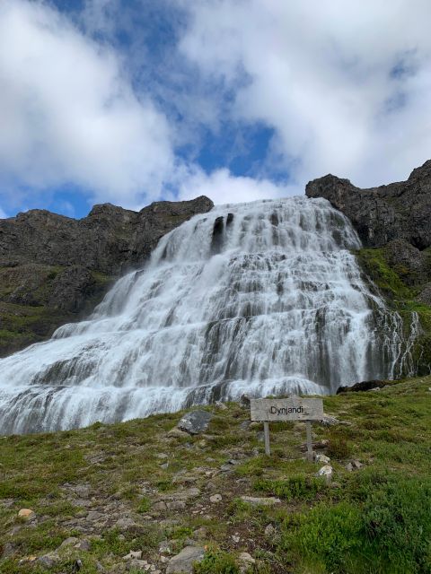 Isafjordur: Dynjandi Waterfall Tour and Icelandic Farm Visit - FAQ
