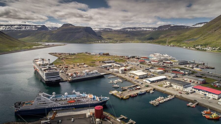Isafjordur: Dynjandi Waterfall Tour and Icelandic Farm Visit - Farm animals and happy marriage cake