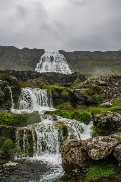 Isafjordur: Dynjandi Waterfall Tour and Icelandic Farm Visit - Why the guide can make or break the day