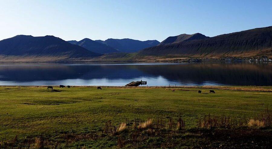 Isafjordur: Dynjandi Waterfall Tour and Icelandic Farm Visit - Is $154 good value?