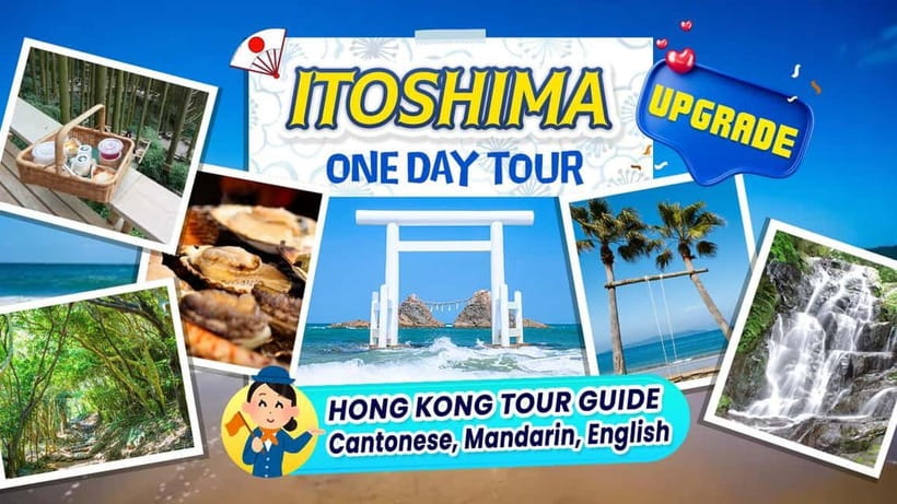 Itoshima Scenic Tour|Totoro Forest, Falls & Ocean View Spots - Starting near Hakata Station at 9:00