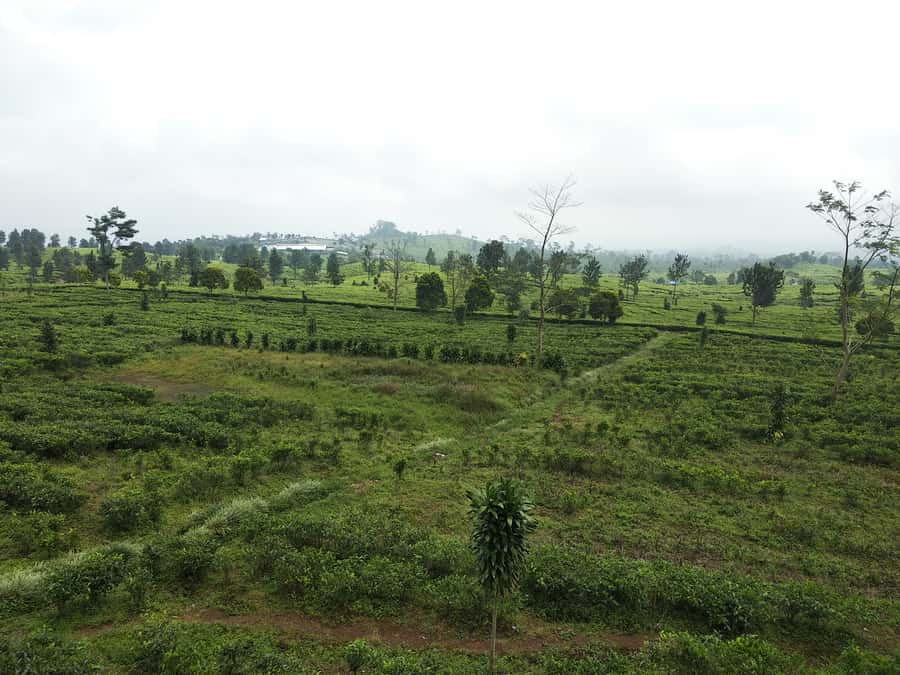 Jakarta: Active Volcano, Waterfall &beautiful local village - Cibeusi village and its rice terraces