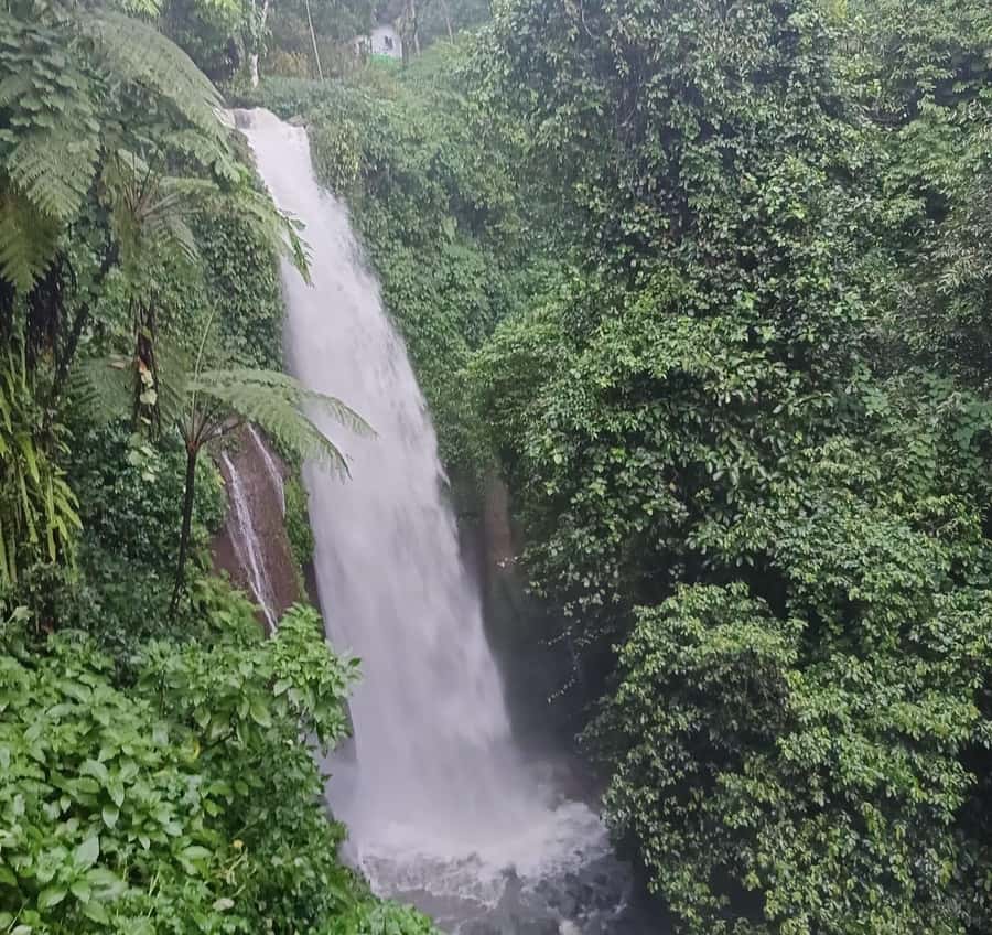 Jakarta Bogor Botanical Garden, Waterfall and Rice Terrace - Key points at a glance
