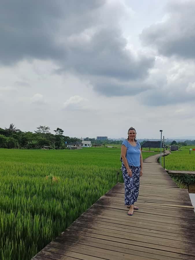 Jakarta Bogor Botanical Garden, Waterfall and Rice Terrace - Lunch beside the Mulyaharja rice fields