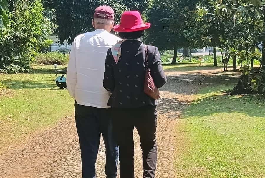 Jakarta Bogor Botanical Garden, Waterfall and Rice Terrace - What the $92 price really covers