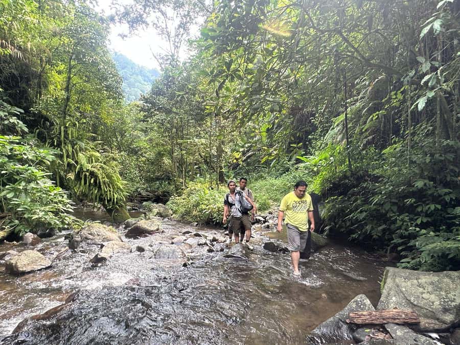 Jakarta: Botanical Garden & Rainforest Trekking to Waterfall - Key Points Before You Book