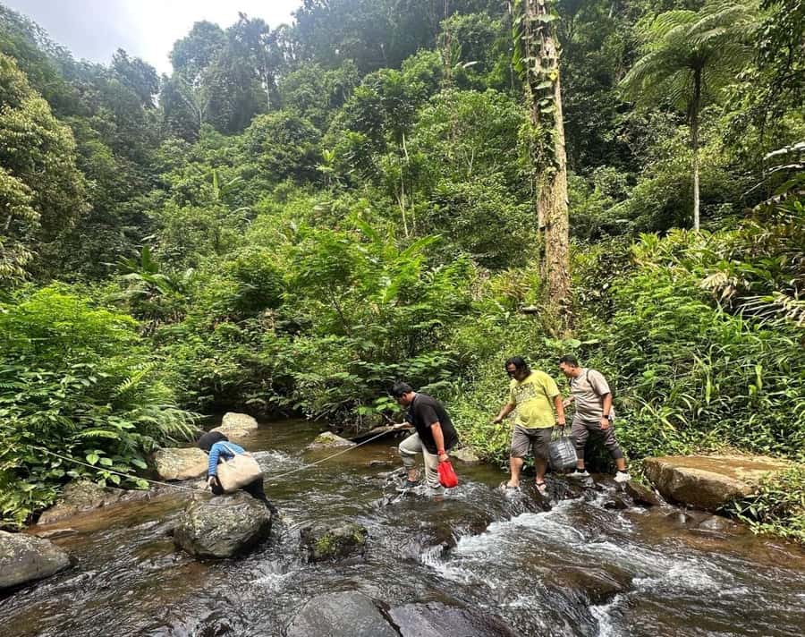 Jakarta: Botanical Garden & Rainforest Trekking to Waterfall - Leaving Jakarta for Bogor’s Rice Fields