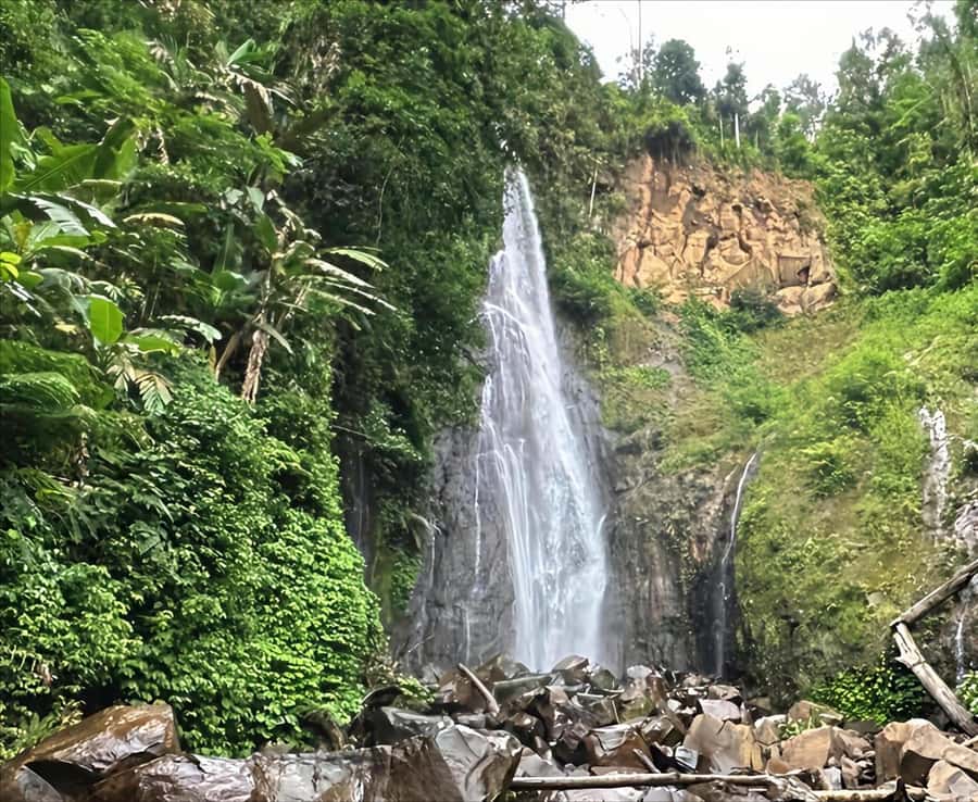 Jakarta: Botanical Garden & Rainforest Trekking to Waterfall - Lunch in Bogor, With Indonesian Flavors