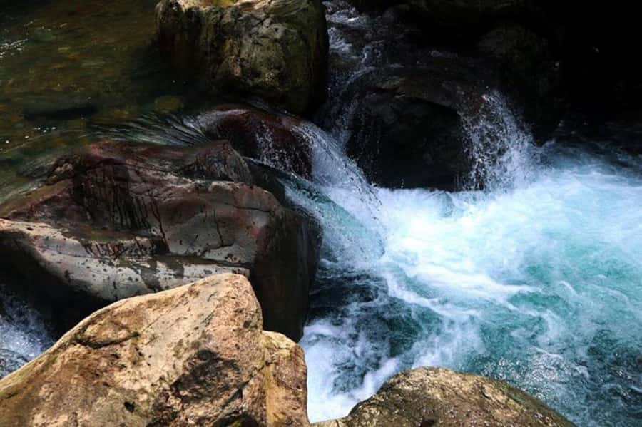 Jakarta: Botanical Garden & Rainforest Trekking to Waterfall - The Rainforest Trail to Cikaracak Waterfall