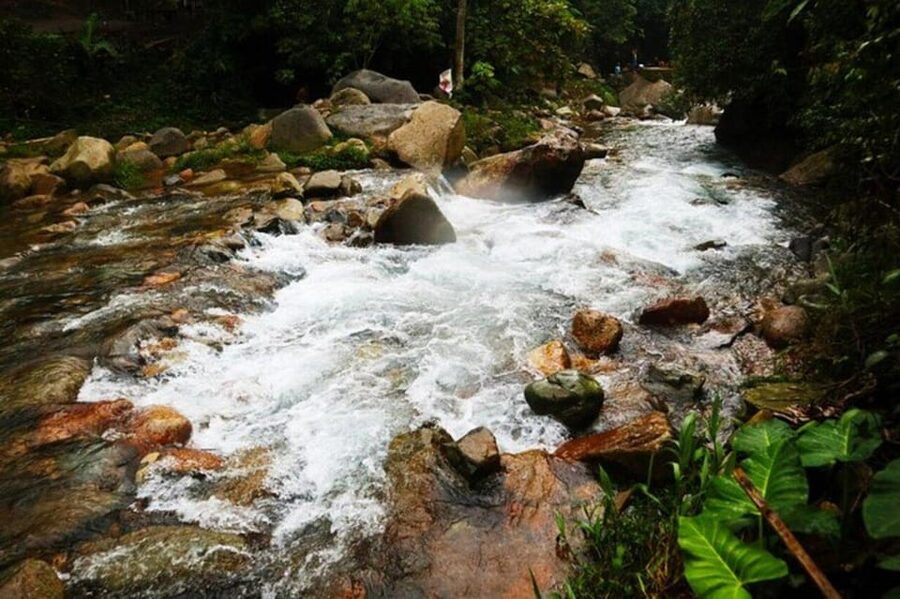 Jakarta: Botanical Garden & Rainforest Trekking to Waterfall - A Private Car Makes the Long Day Easier