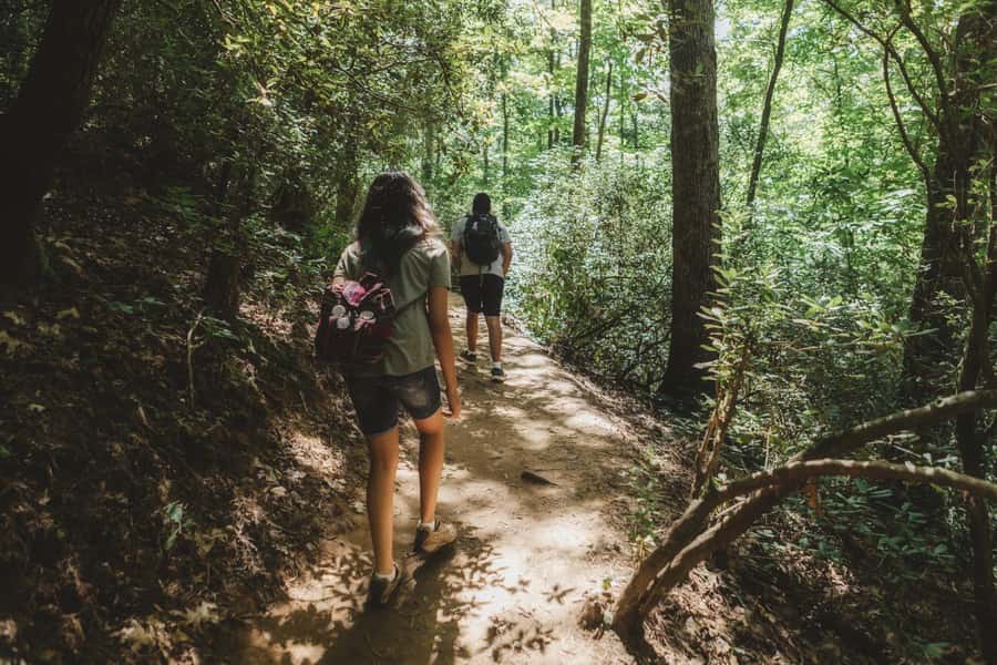Jakarta: Botanical Garden & Rainforest Trekking to Waterfall - Bogor Botanical Garden and Its Presidential Palace