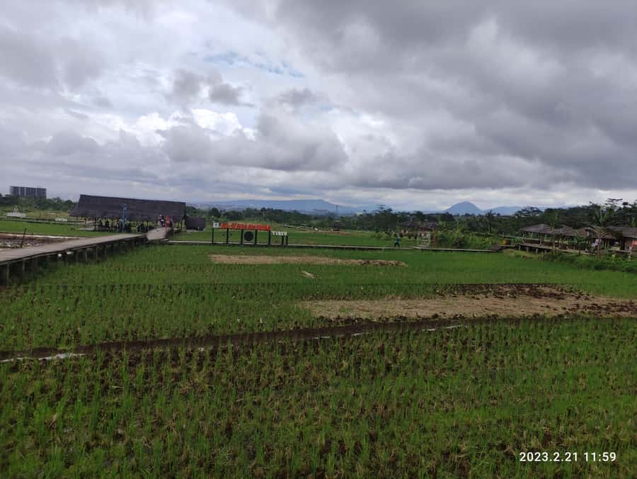 Jakarta : Botanical Garden, Waterfalls, and Rice Fields Tour - Key points to know before booking