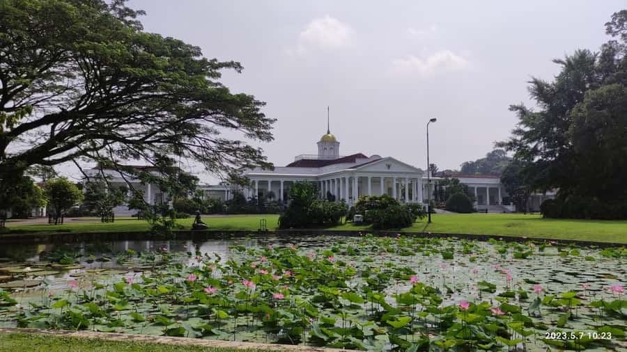 Jakarta : Botanical Garden, Waterfalls, and Rice Fields Tour - Rice fields and coffee in Mulyaharja