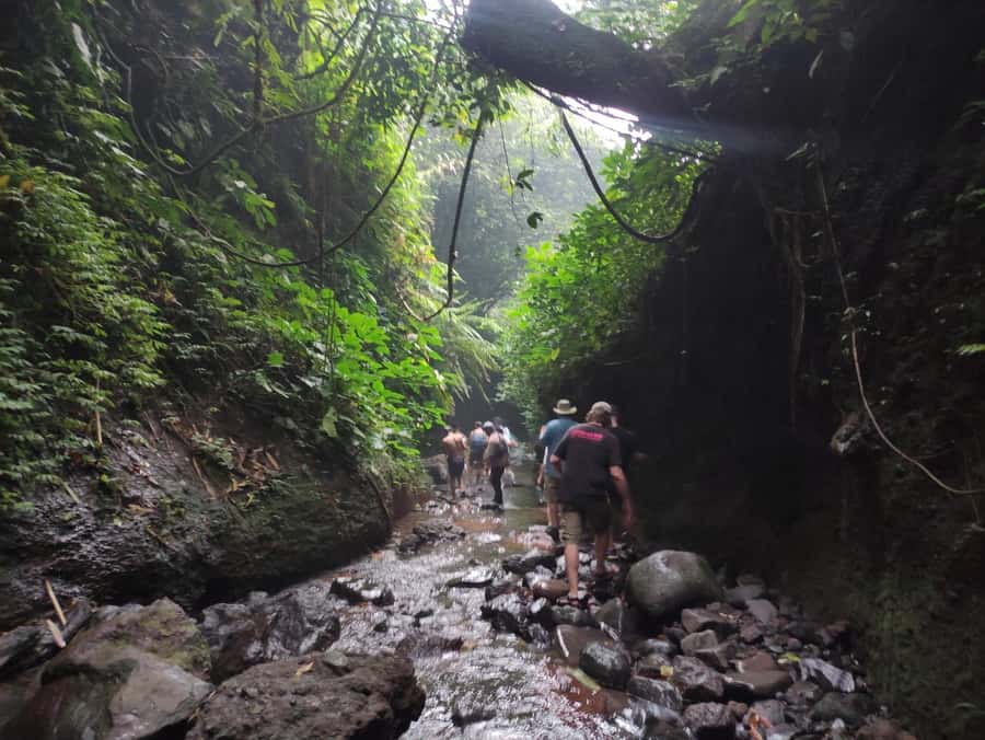 Jakarta : Botanical Garden, Waterfalls, and Rice Fields Tour - Pickup details and what to bring