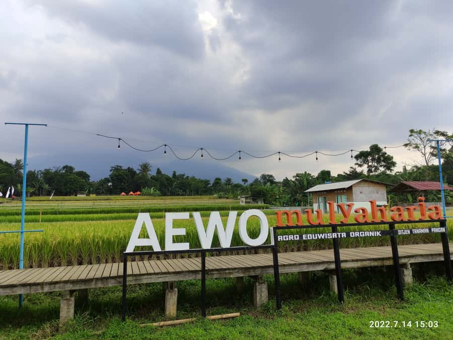 Jakarta : Botanical Garden, Waterfalls, and Rice Fields Tour - Two hours among Bogor’s botanical collections