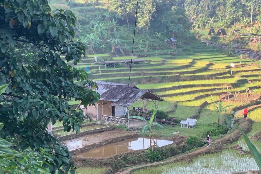 Jakarta: Sentul Pine Forest and Waterfall Trekking Tour - What to Pack for Mud, Heat, and Water