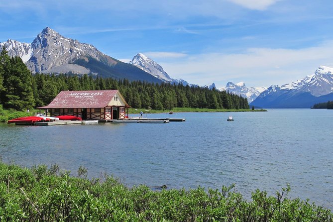 Jasper Wildlife and Sightseeing Tour with Maligne Lake Hike - The drive through moose and bear country