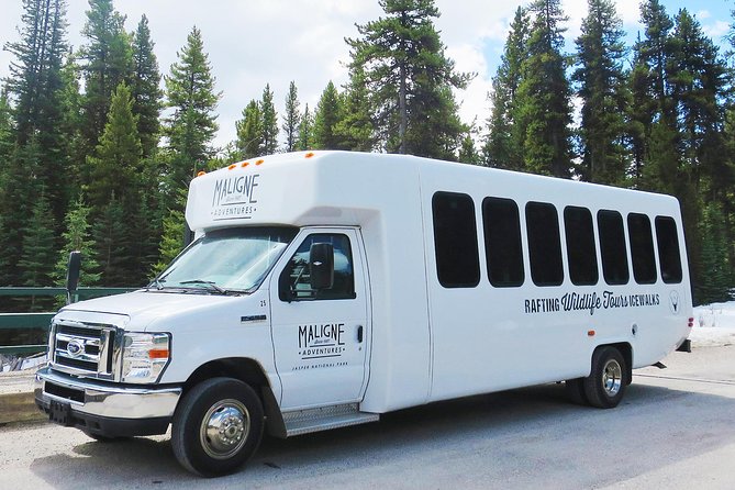 Jasper Wildlife and Sightseeing Tour with Maligne Lake Hike - Pickup details you should get right