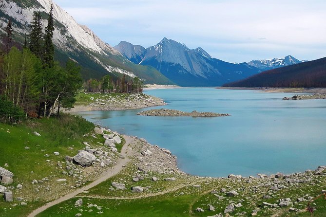 Jasper Wildlife and Sightseeing Tour with Maligne Lake Hike - Who should book this experience