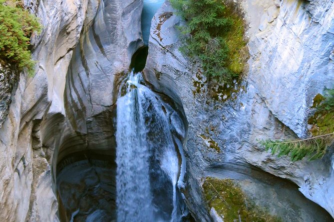 Jasper Wildlife and Sightseeing Tour with Maligne Lake Hike - Medicine Lake reveals Jasper’s geology