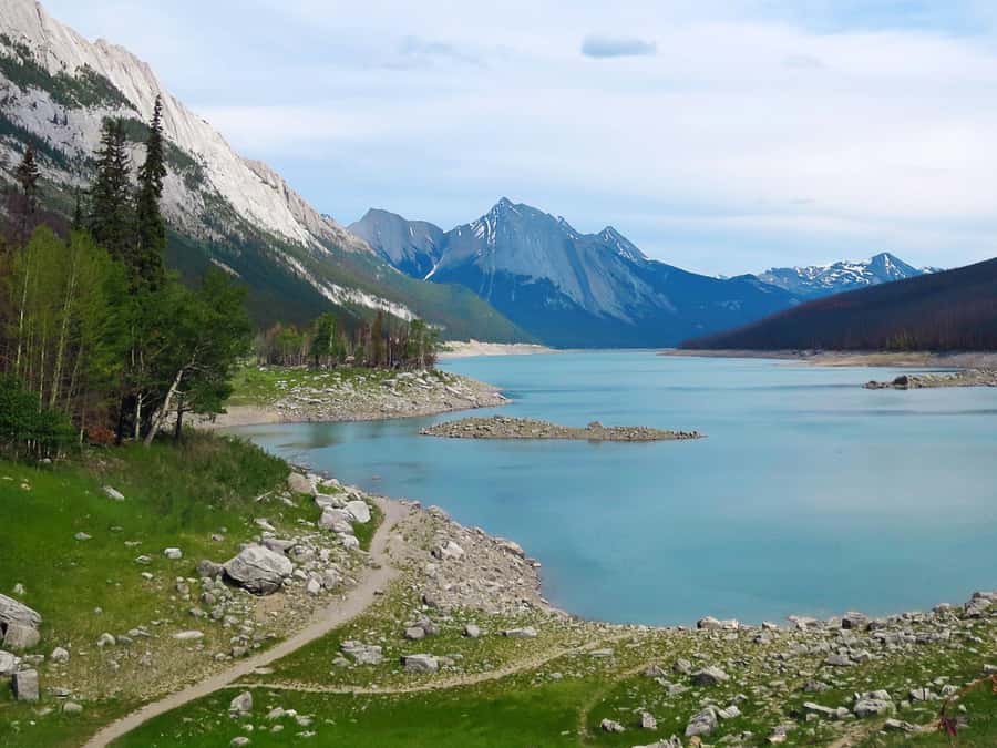 Jasper: Wildlife and Waterfalls Tour with Lakeshore Hike - Should you book the Maligne Valley tour?