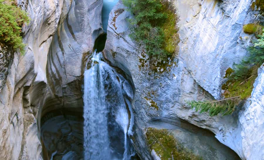Jasper: Wildlife and Waterfalls Tour with Lakeshore Hike - A six-hour route into the Maligne Valley