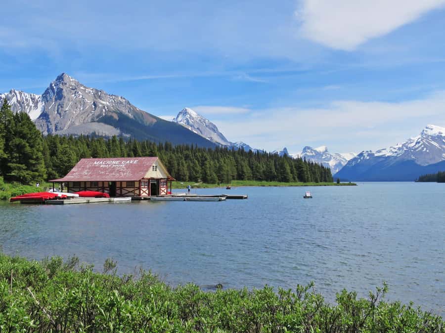 Jasper: Wildlife and Waterfalls Tour with Lakeshore Hike - What the guides add to the day