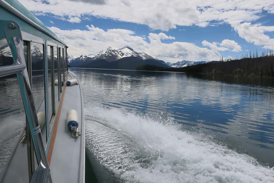 Jasper: Wildlife and Waterfalls Tour with Maligne Cruise - What the $155 Price Really Includes