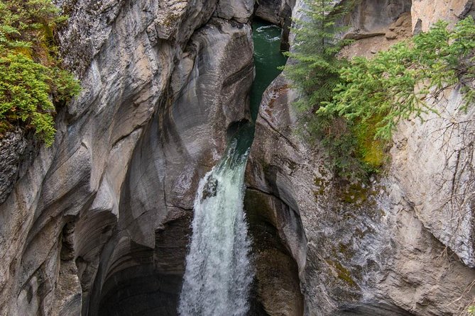 Jasper Wildlife & Sightseeing Tour with Maligne Lake Cruise - What this Jasper half-day actually covers