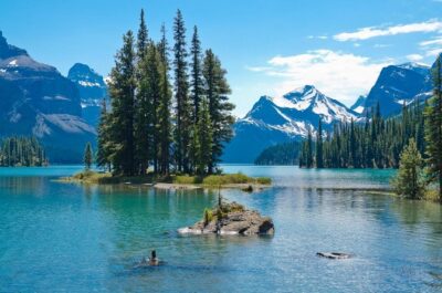 Jasper Wildlife & Sightseeing Tour with Maligne Lake Cruise