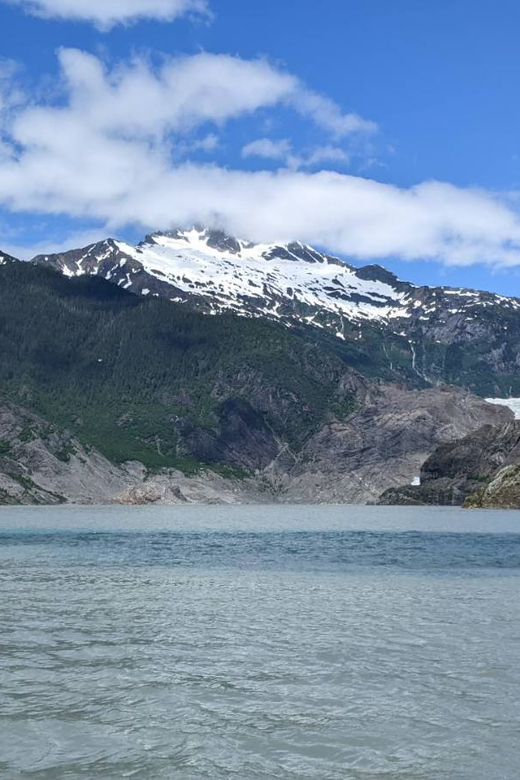 Juneau: Mendenhall Glacier Waterfall & Whale Watching Tour - Key points before you book