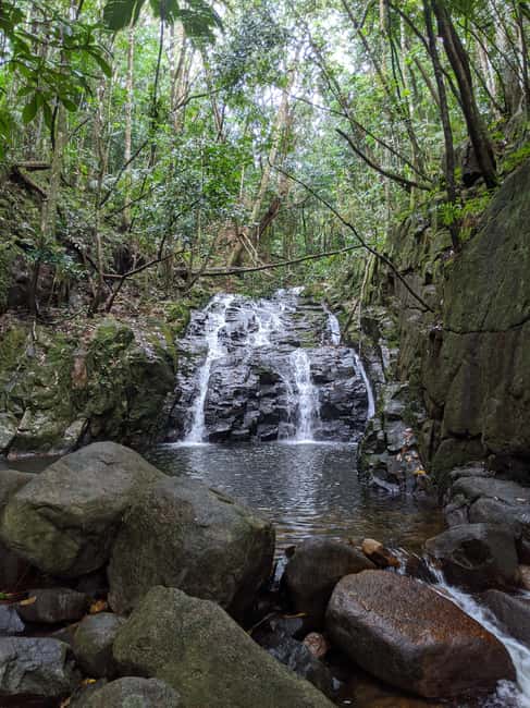 Jungle Adventure Hike:Climb, Waterfall, Discover Seychelles! - What This Adventure Is Really Like
