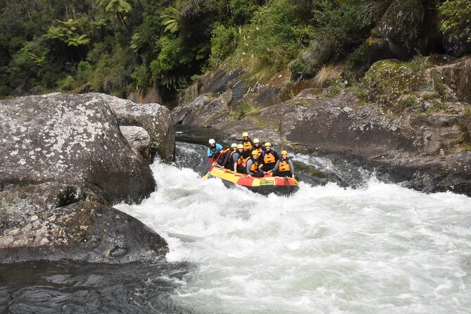 Kaituna Cascades - Grade 5 Wairoa River near Tauranga - The optional 5 meter cliff jump