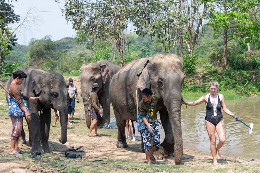Kanchanaburi: Elephant Sanctuary & Erawan Waterfall Tour - Walking to the seven levels of Erawan Waterfall