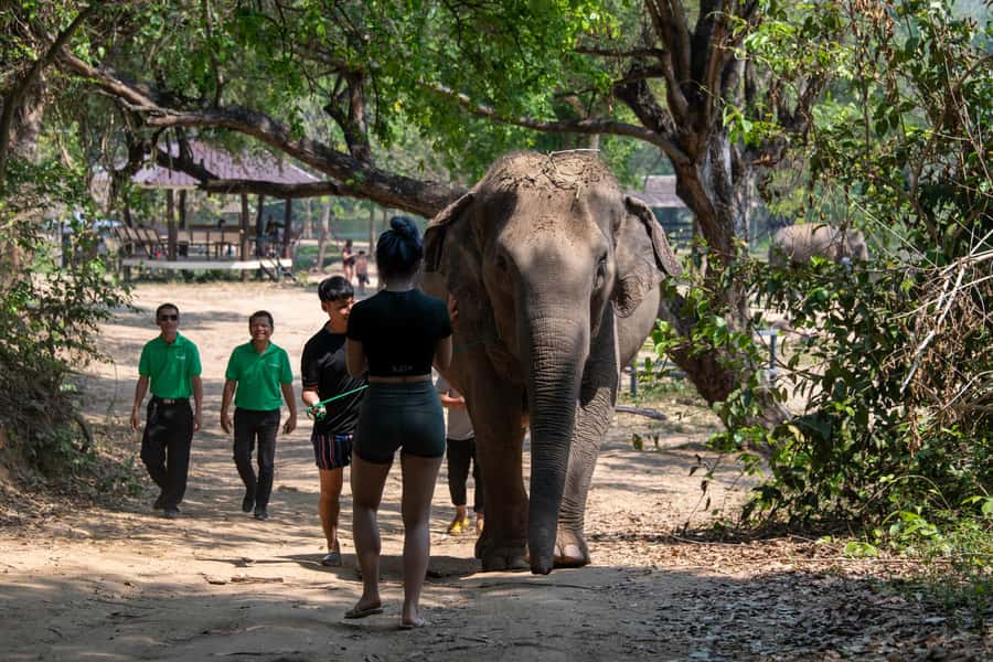 Kanchanaburi: Elephant Sanctuary & Erawan Waterfall Tour - Who should book this experience