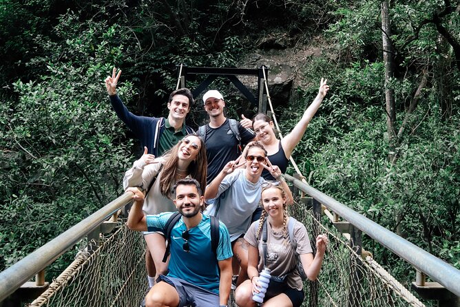 Kangaroos, 6 Springbrook Waterfalls and Natural Bridge Day Tour - Key points to know before you book