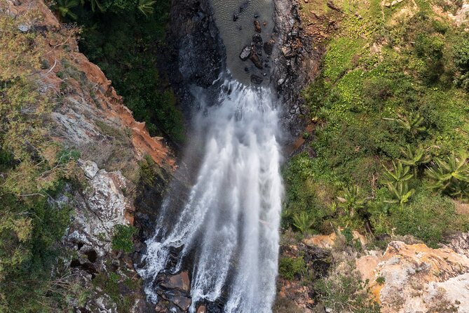 Kangaroos, 6 Springbrook Waterfalls and Natural Bridge Day Tour - Twin Falls and Rainbow Falls: the day’s main walk