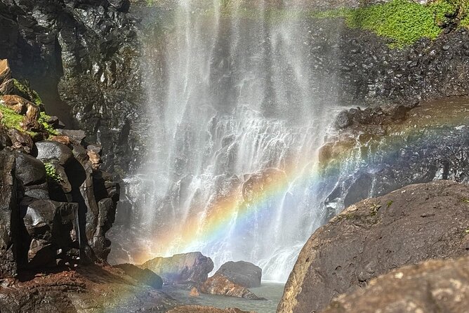 Kangaroos, 6 Springbrook Waterfalls and Natural Bridge Day Tour - Food, drinks and the small extras