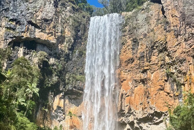 Kangaroos, 6 Springbrook Waterfalls and Natural Bridge Day Tour - Purling Brook Falls and Goomoolahra Falls