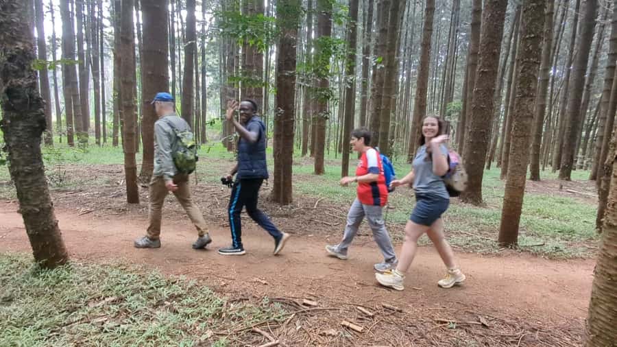 Karura Forest: Walking tour with Nature and Waterfalls. - Key points to know before you go
