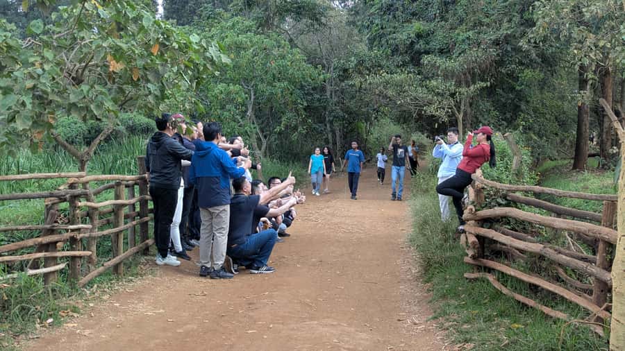 Karura Forest: Walking tour with Nature and Waterfalls. - The River Café break after the first trail section