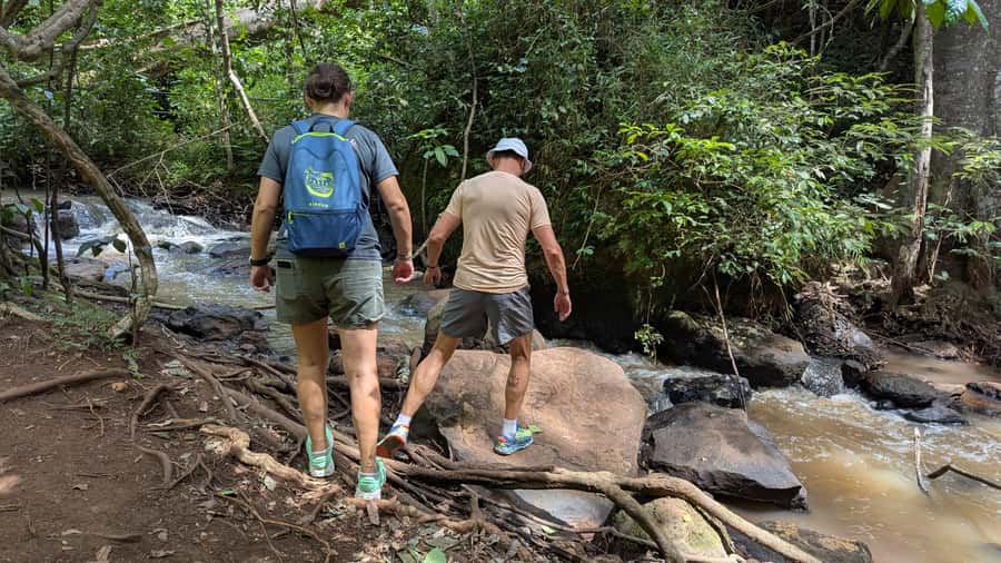 Karura Forest: Walking tour with Nature and Waterfalls. - Who will enjoy this tour most?