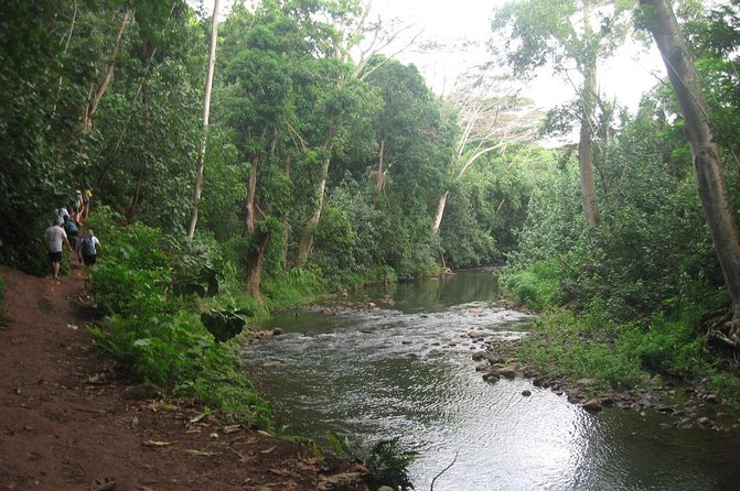 Kauai Adventure: Kayak & Hike to Secret Falls with Expert Guide - Why the Wailua River start works so well