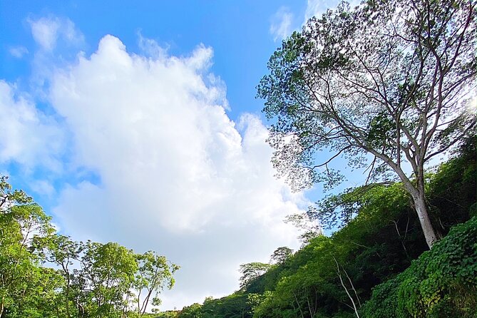 Kauai Adventure: Kayak & Hike to Secret Falls with Expert Guide - Guides who make the difference