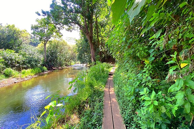 Kauai Adventure: Kayak & Hike to Secret Falls with Expert Guide - What the $140 price covers