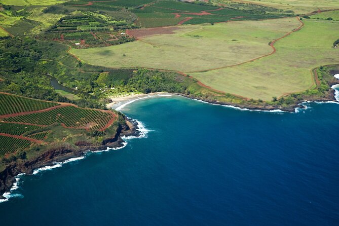 Kauai Airplane Tour: Na Pali Coast, Waterfalls & Window Seats - Hanalei Bay, beaches, and northern Kauai