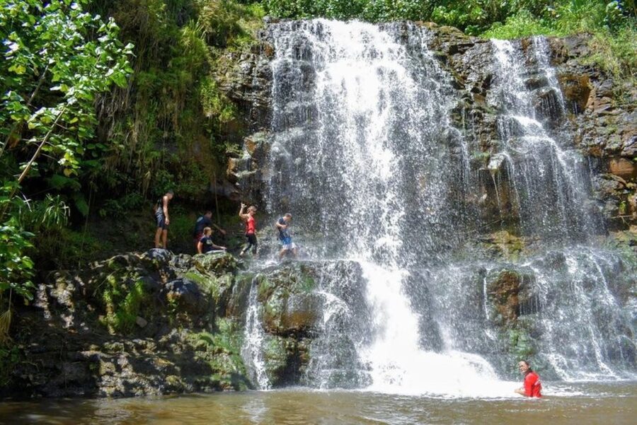 Kauai: Guided Hike and Waterfall Swim - Key points to know before booking