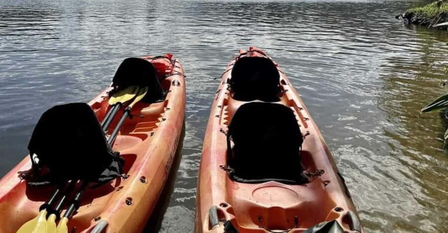 Kauai: Guided Kayak and Hike to Secret Falls - Starting on the Wailua River