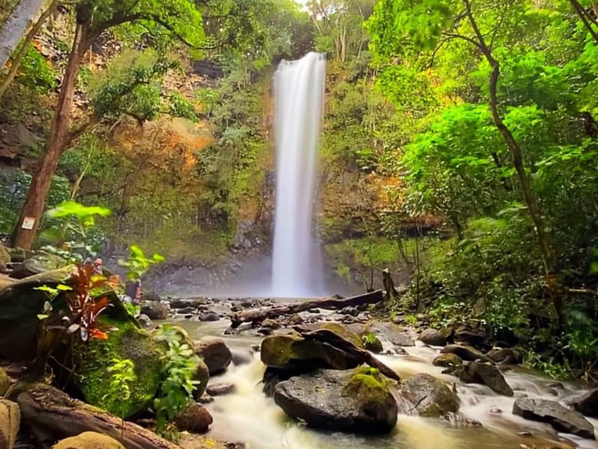 Kauai: Guided Kayak and Hike to Secret Falls - Should you book the Secret Falls kayak and hike?