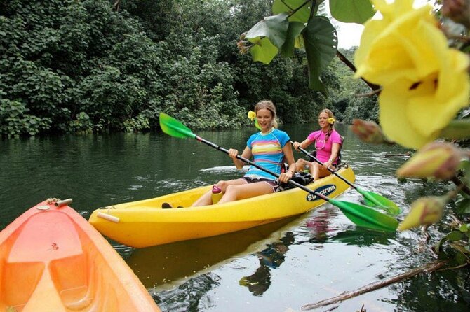 Kauai: Secret Falls Kayak and Hike - Launching into the four-mile Wailua River paddle